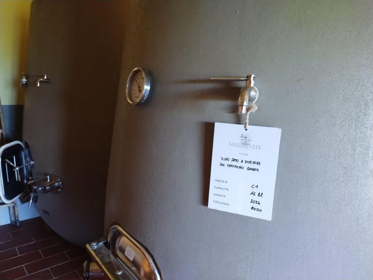 Madrevite cellar