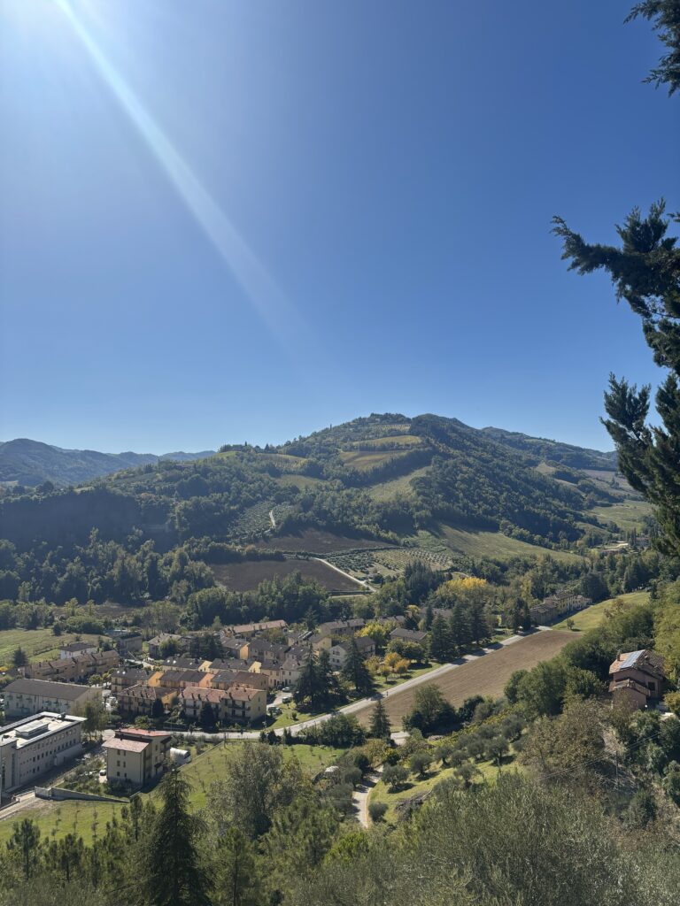 Poggio della Dogana view