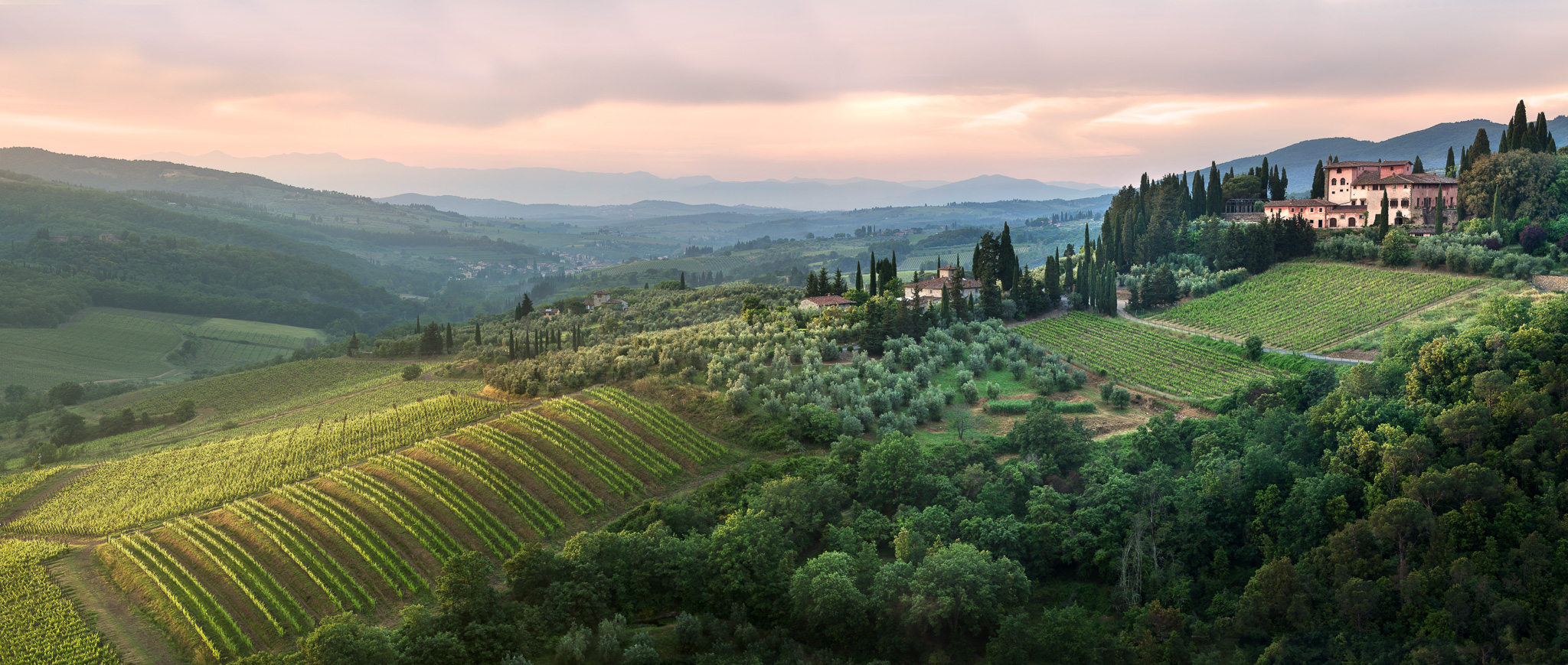 Vignamaggio Estate