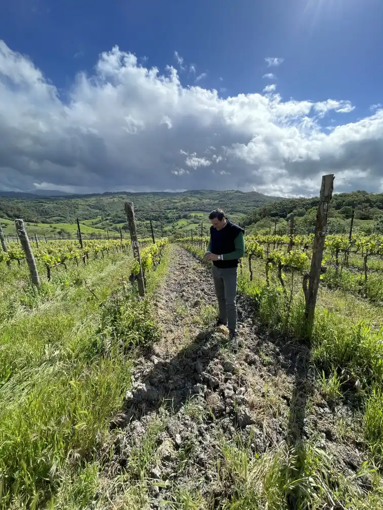 Tancredi Biondi Santi in vineyards of Castello di Montepò (Photo Credit: Jonathan Cristaldi)